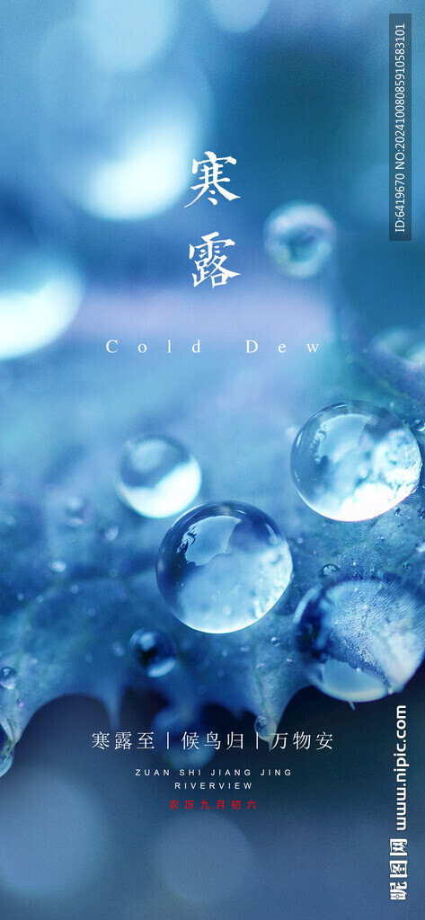 中國傳統(tǒng)二十四節(jié)氣寒露海報(bào)