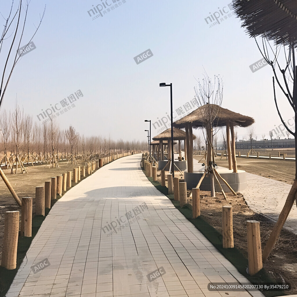 陽光下的林間小路