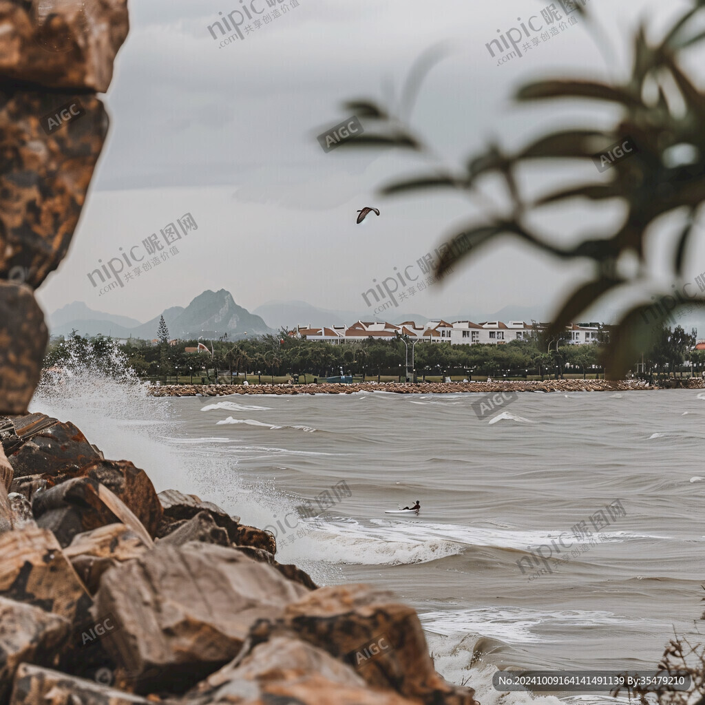 海邊石頭鳥兒