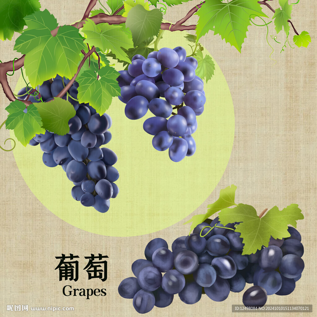 手繪葡萄