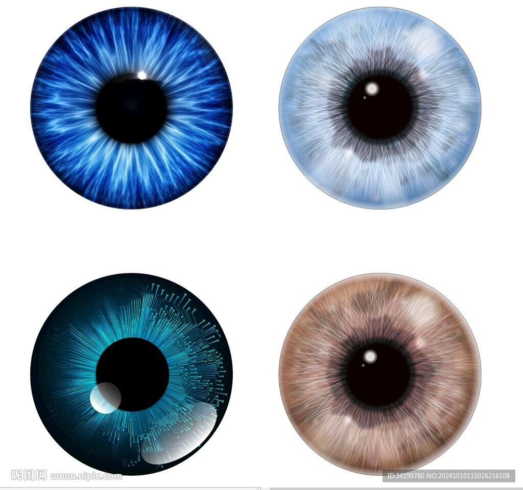 眼球瞳孔