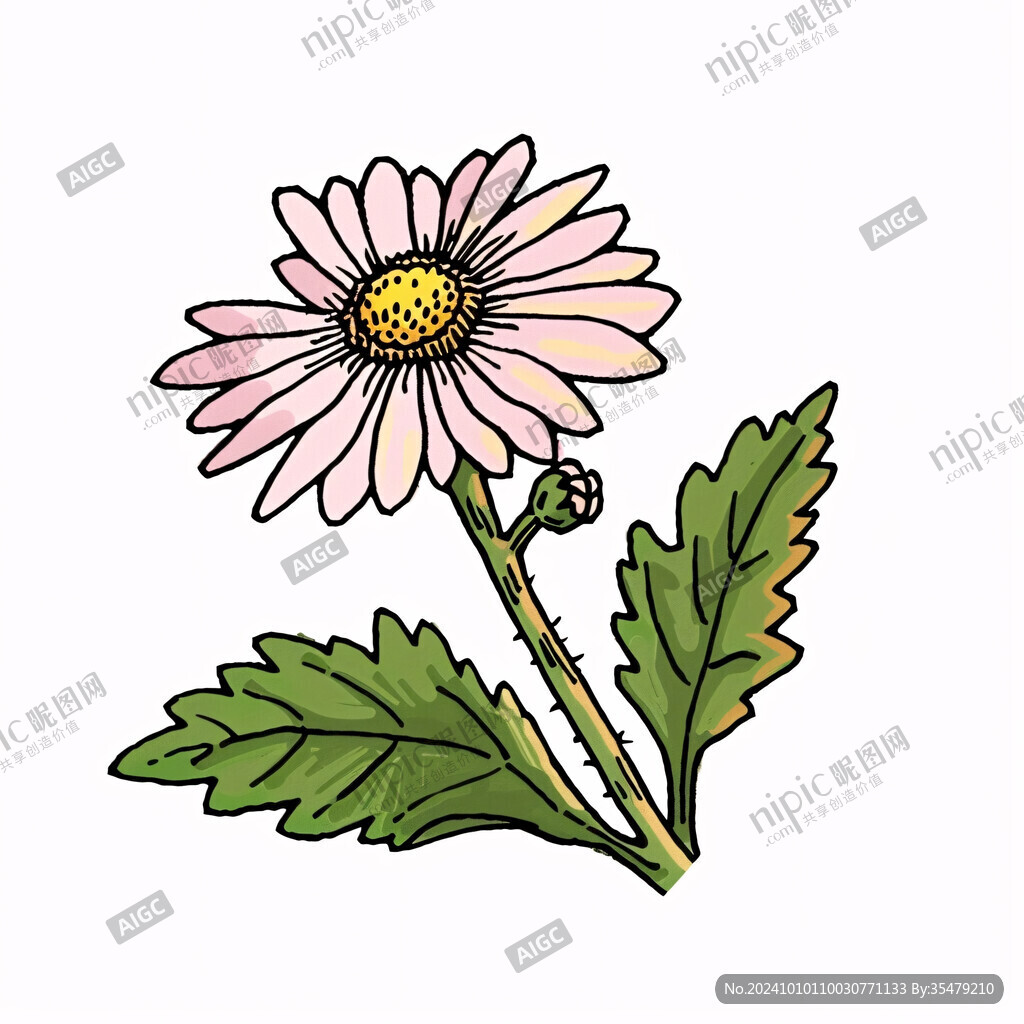 卡通野菊花