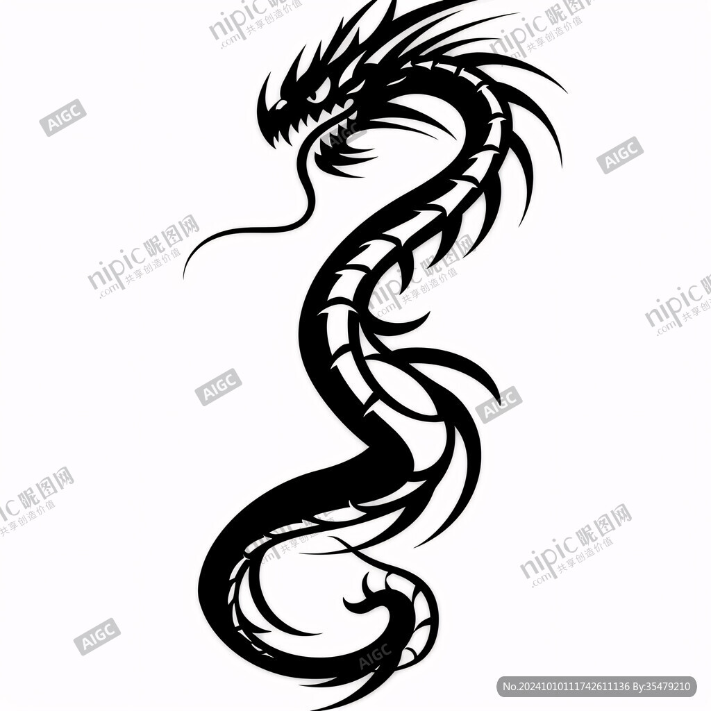黑白底紋龍