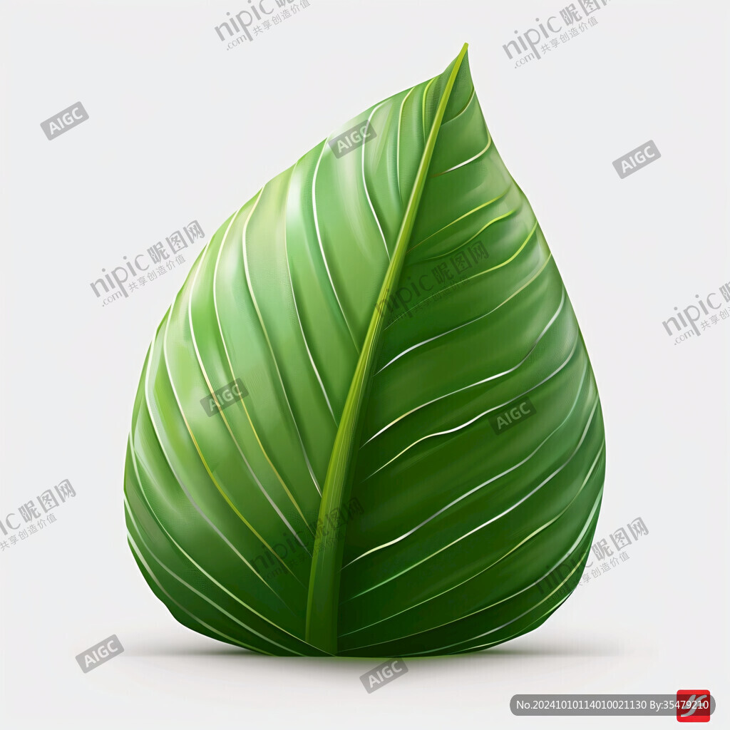 一片龜背竹葉子