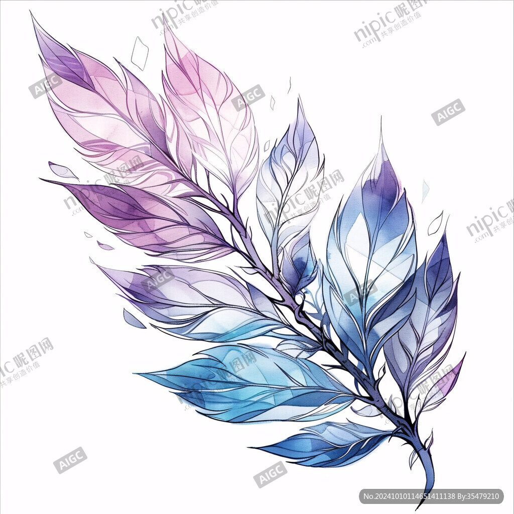 羽毛插畫素材