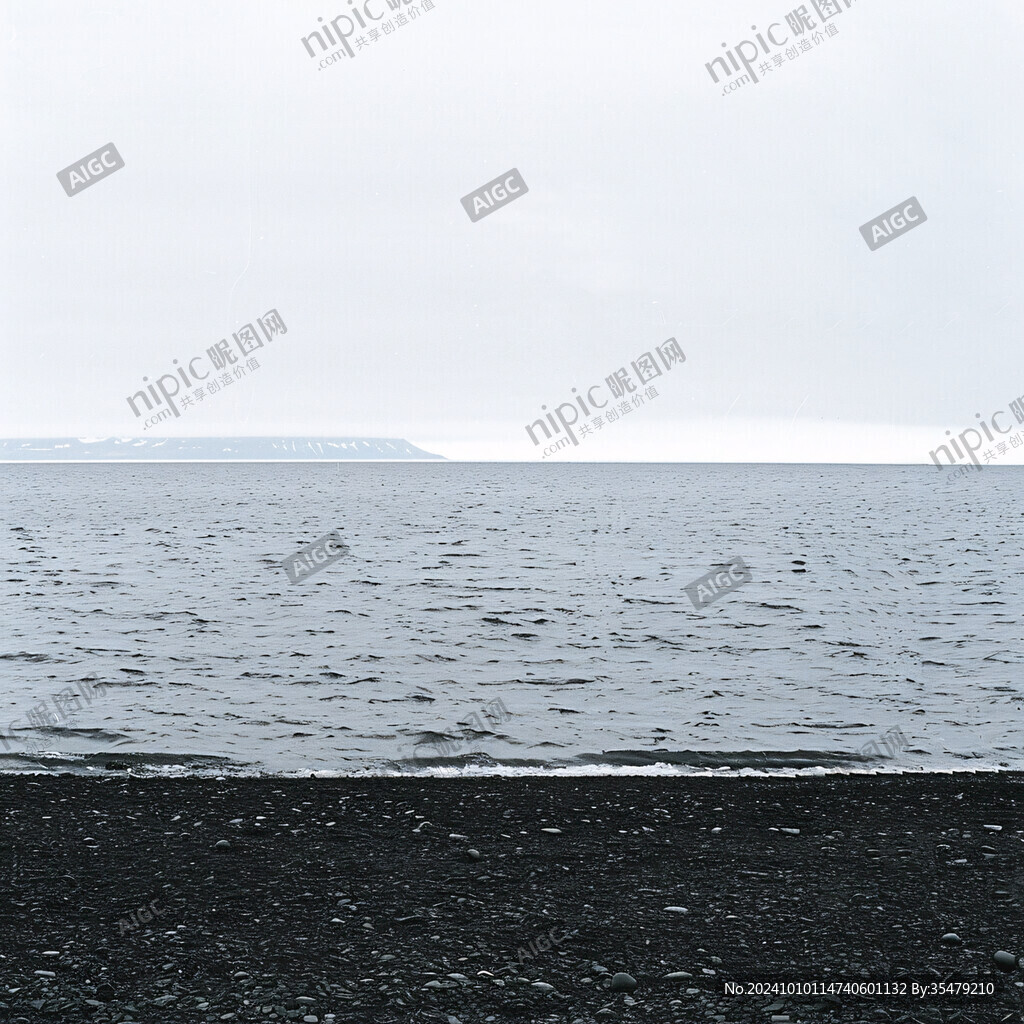 納木錯(cuò)水鳥
