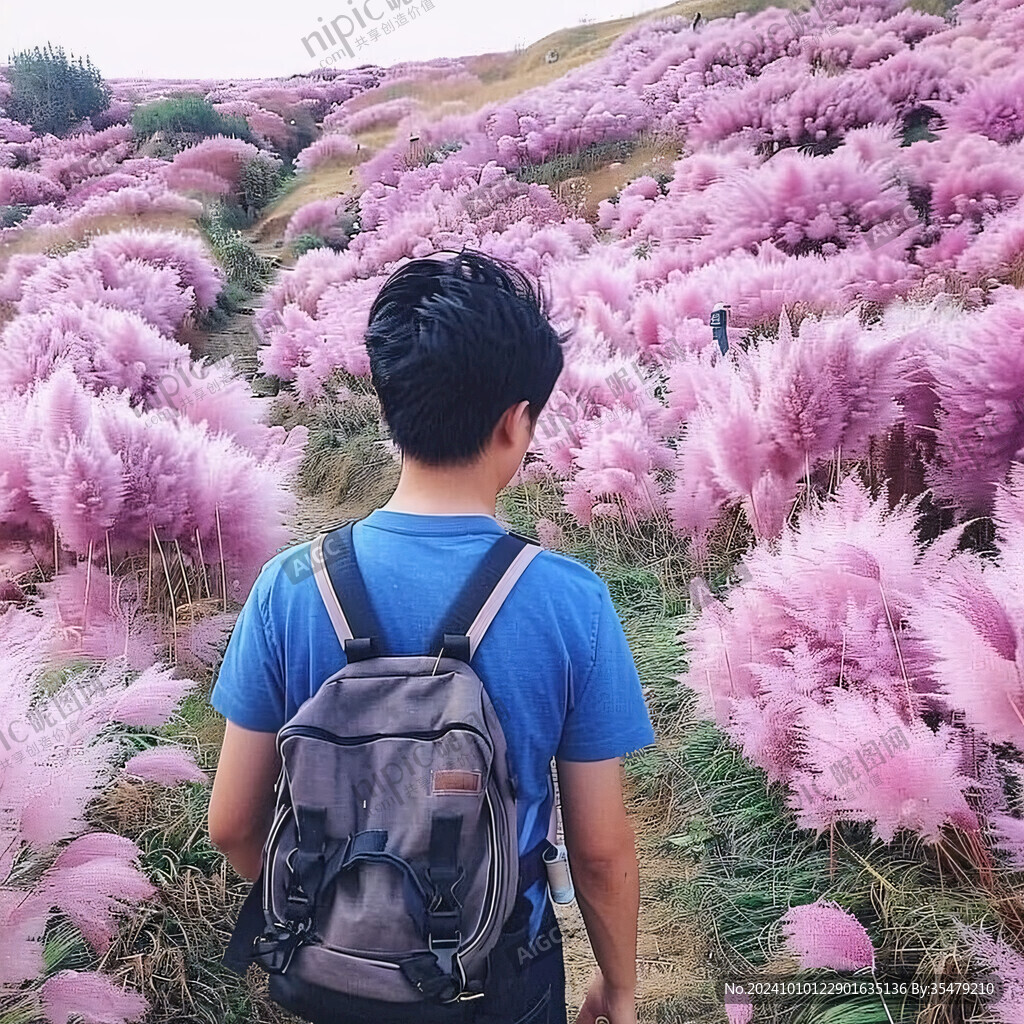 網紅觀賞草