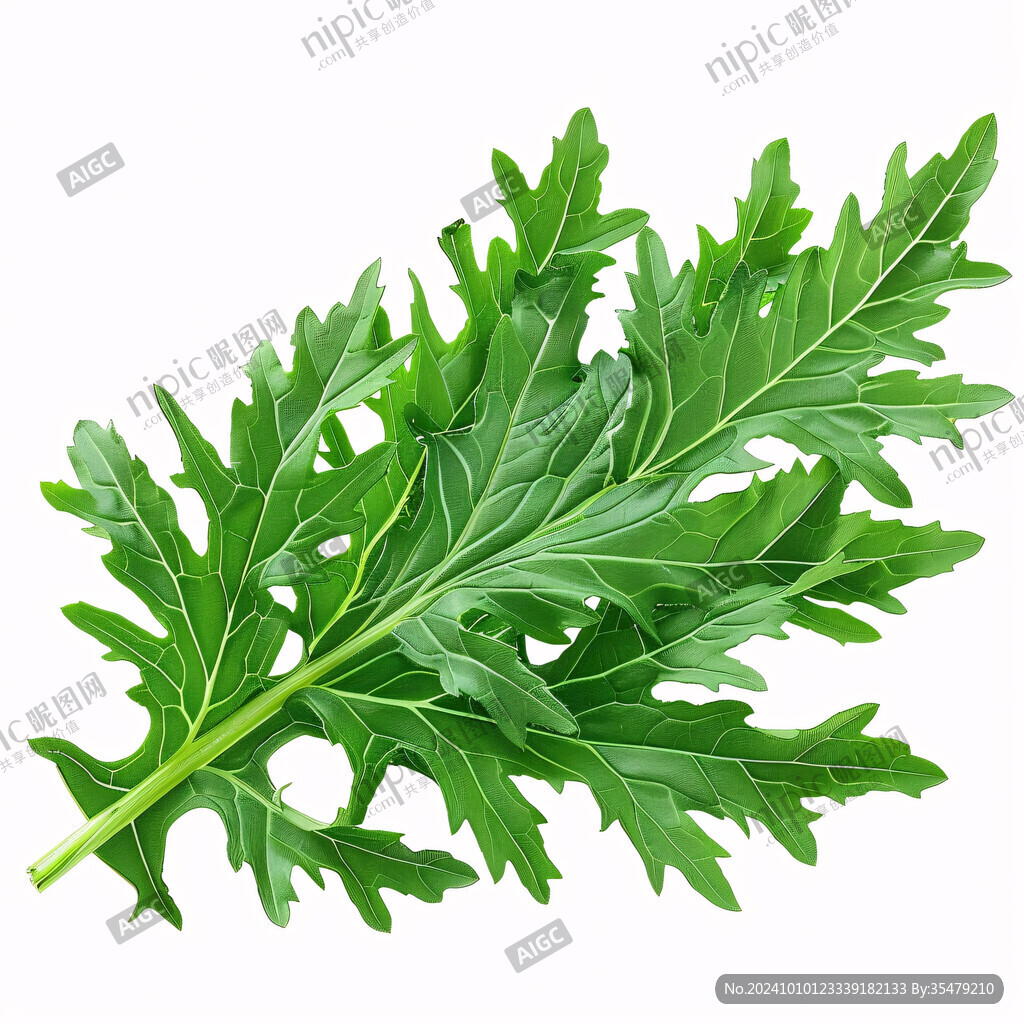 薺菜圖片