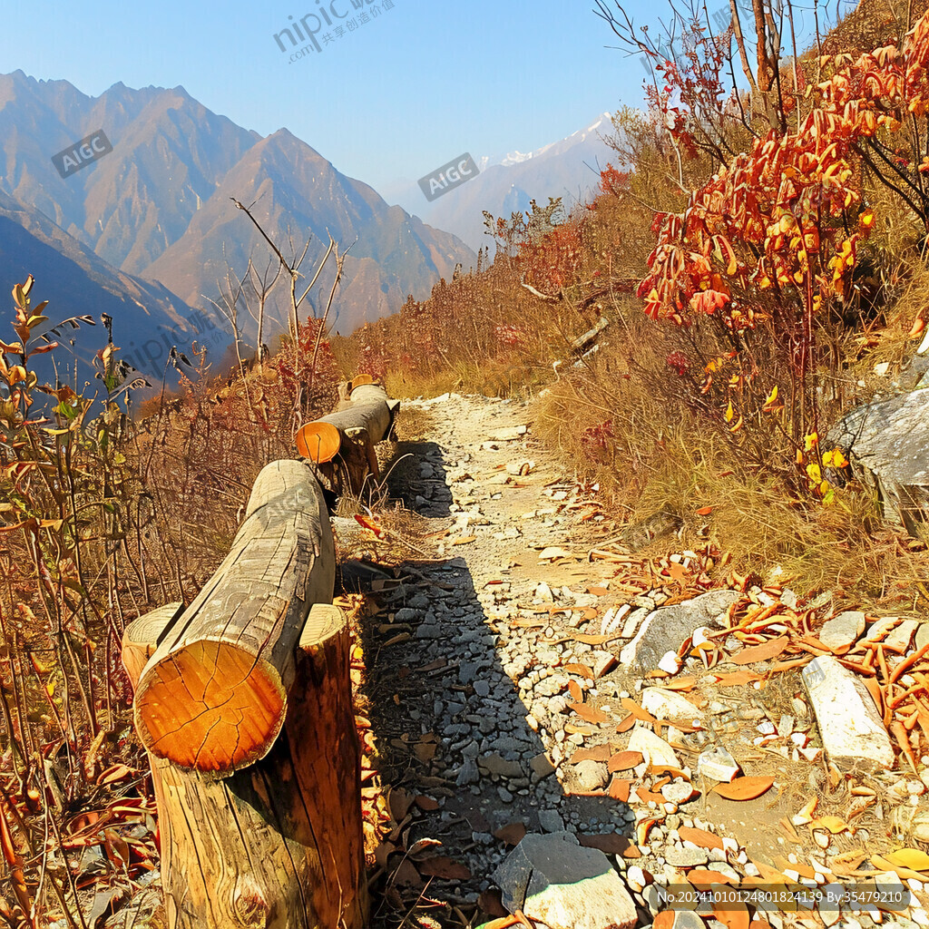 山間小路秋天