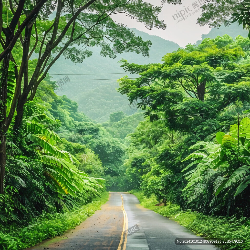 熱帶道路景觀樹