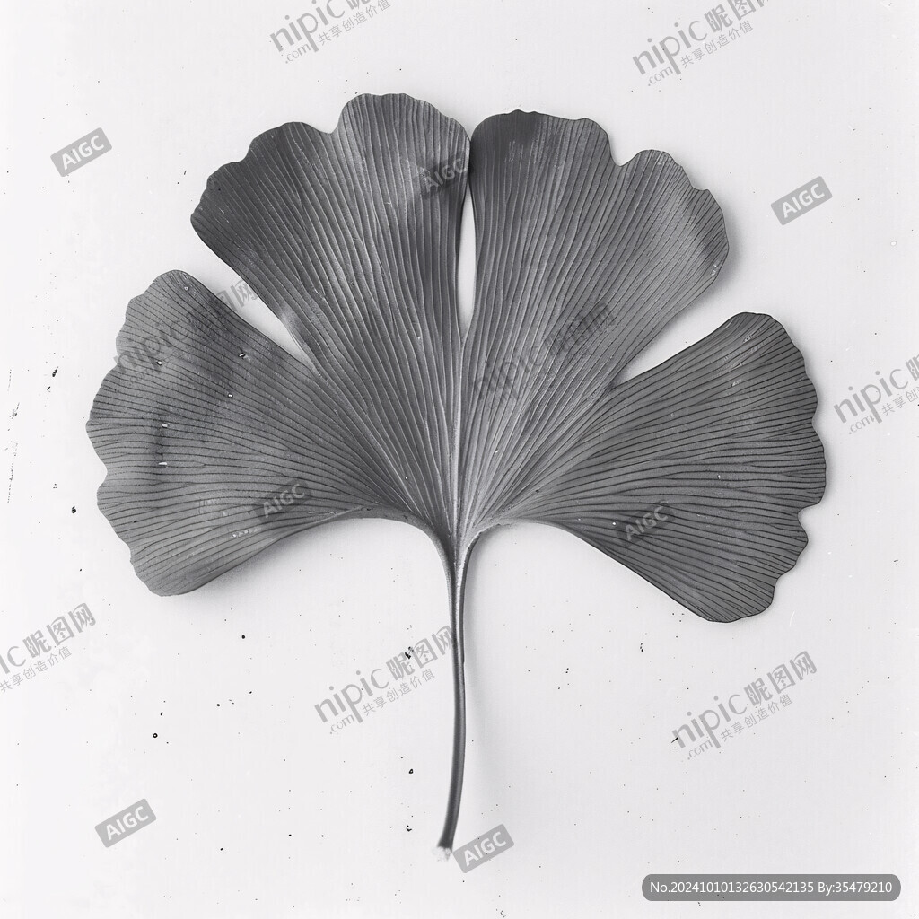 扇子型樹葉