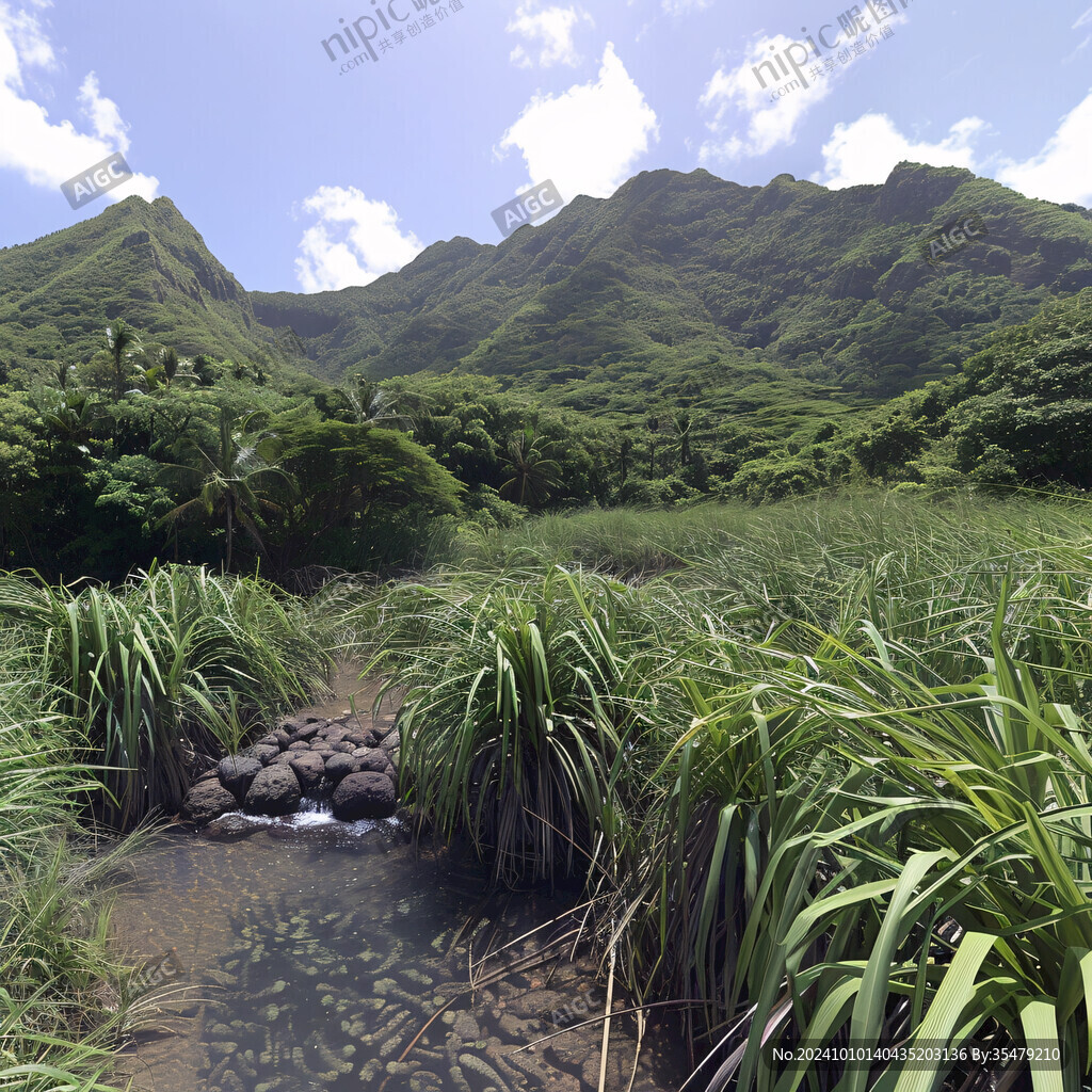 山溝水草風(fēng)景