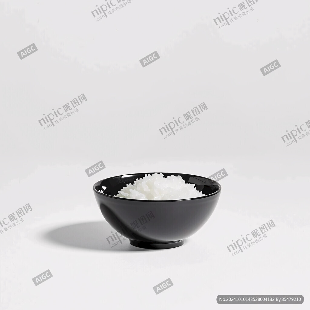 糯米飯模型