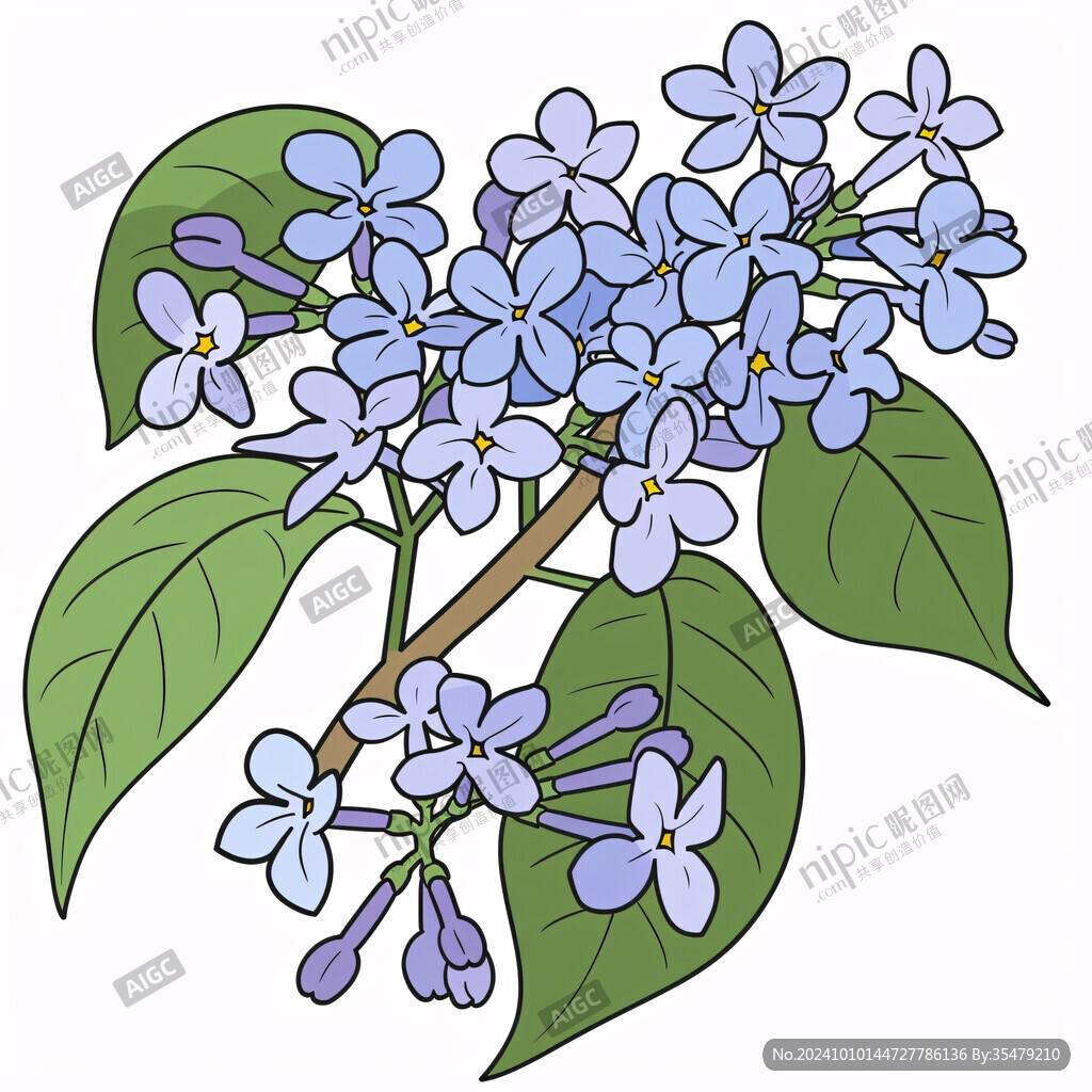 中草藥丁香花插畫