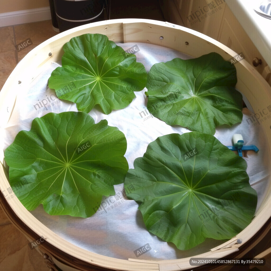 旱荷花葉子