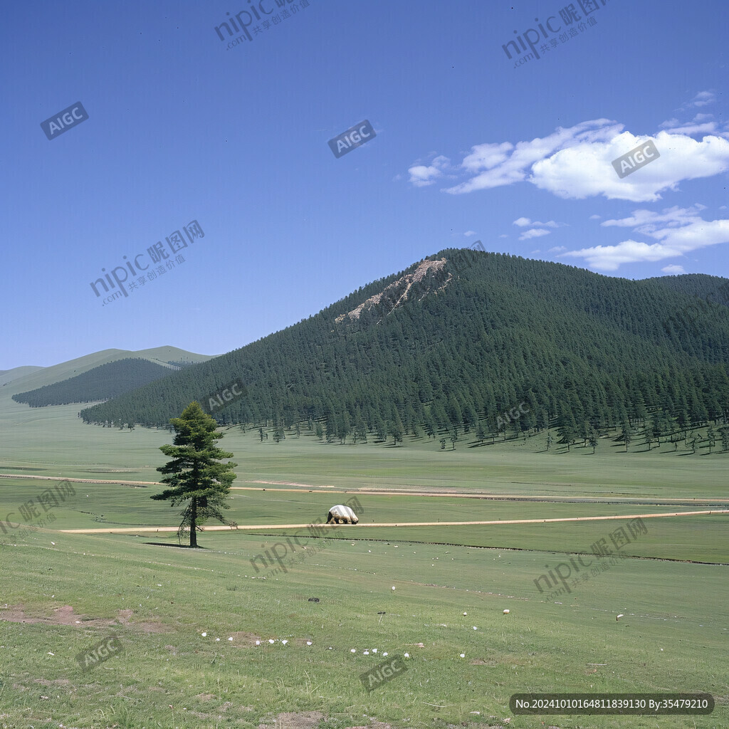 遠山森林草原蒙古包