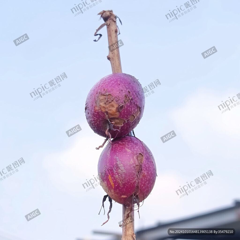 吊起來(lái)的葫蘆