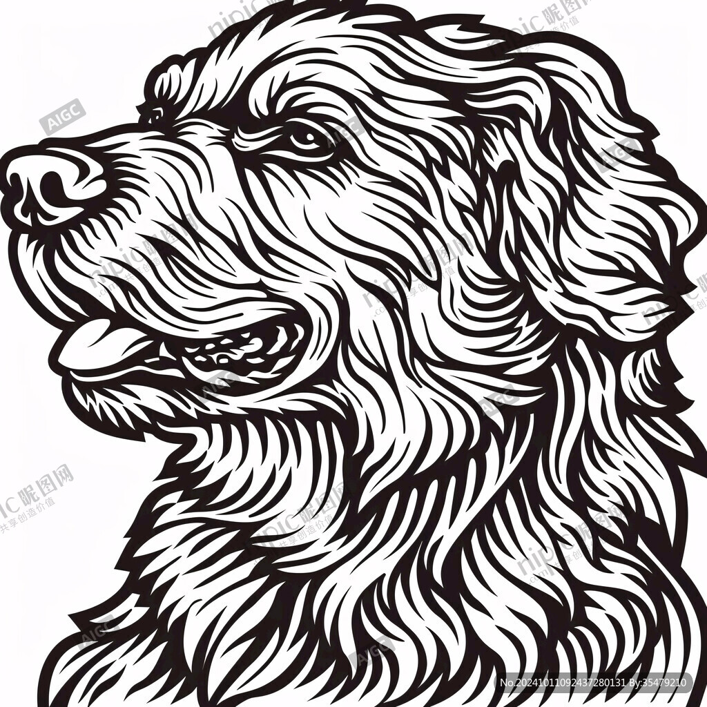 貴賓犬毛發(fā)設(shè)計(jì)