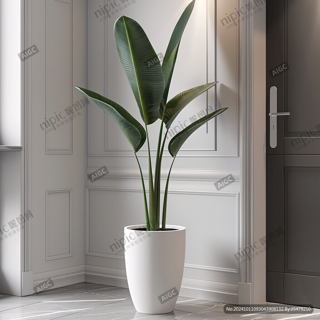 玄關(guān)自然植物