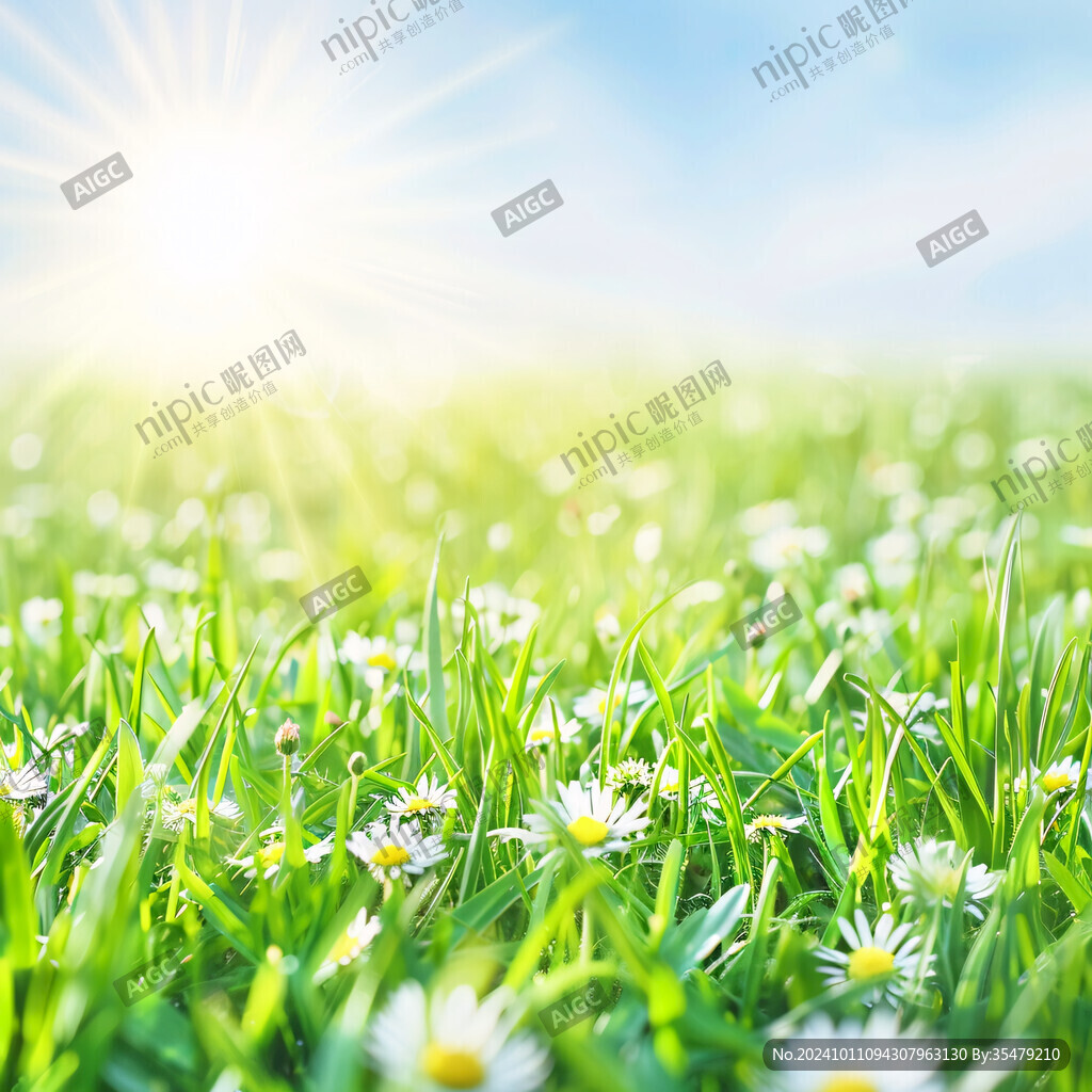 陽光綠草小花