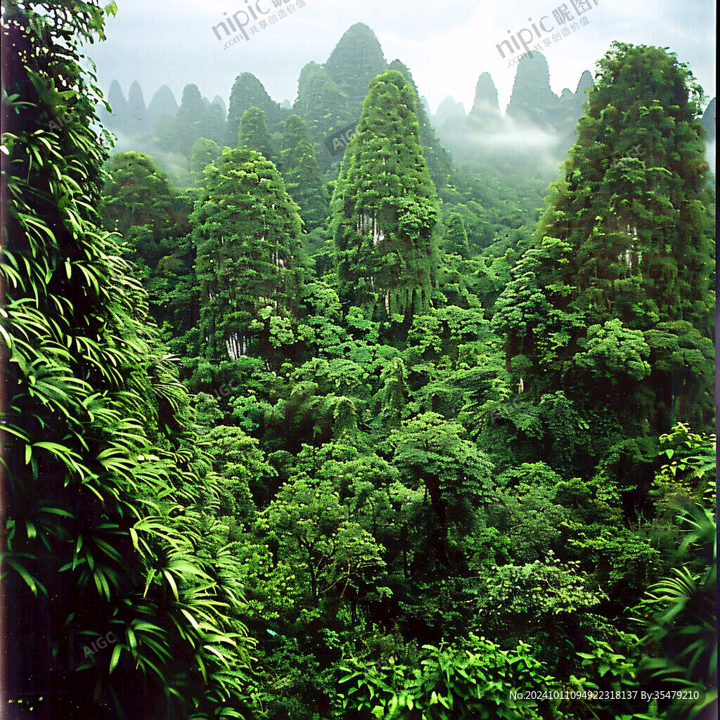 林狀喀斯特景觀