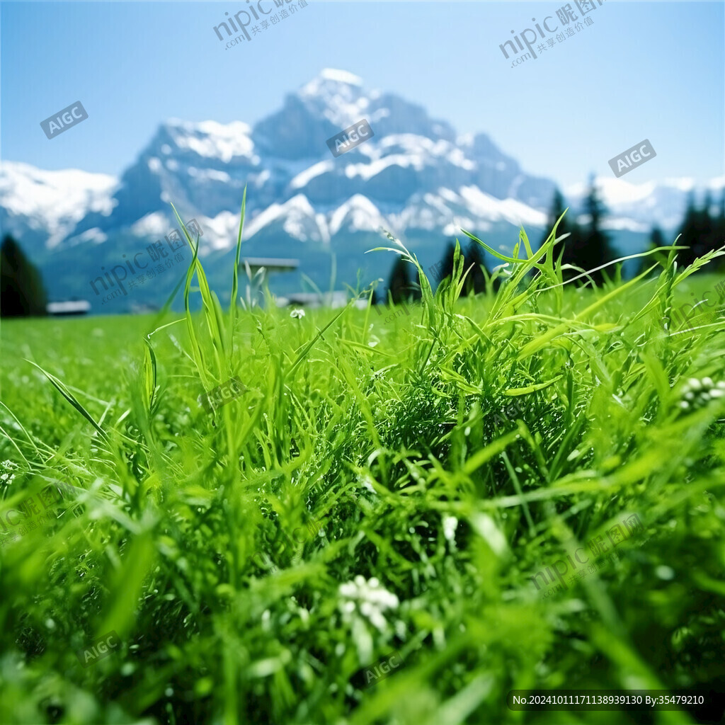 草原草叢背景大山脈