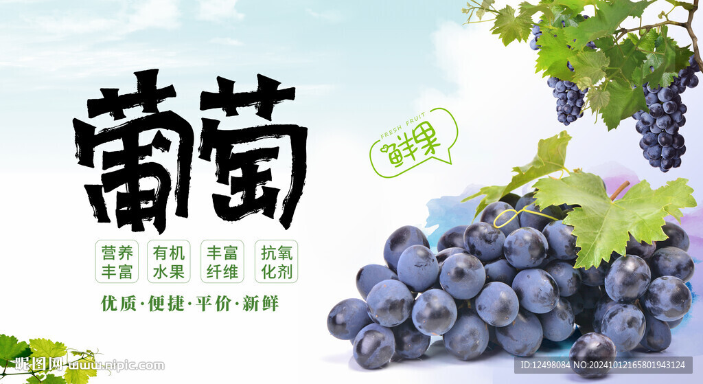 葡萄海報
