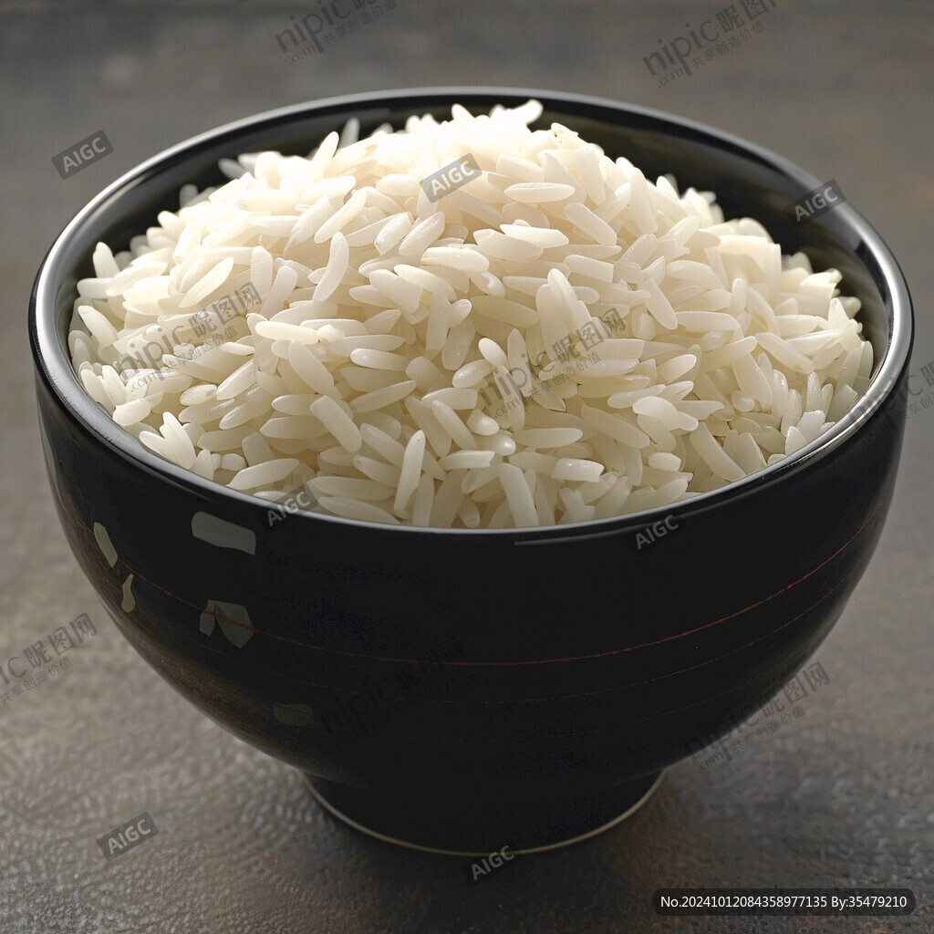糯米飯模型