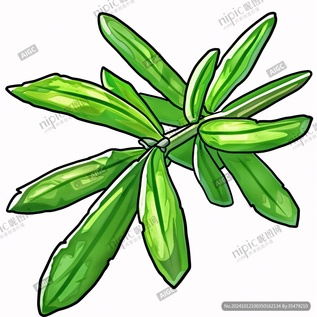 手繪芝麻插畫