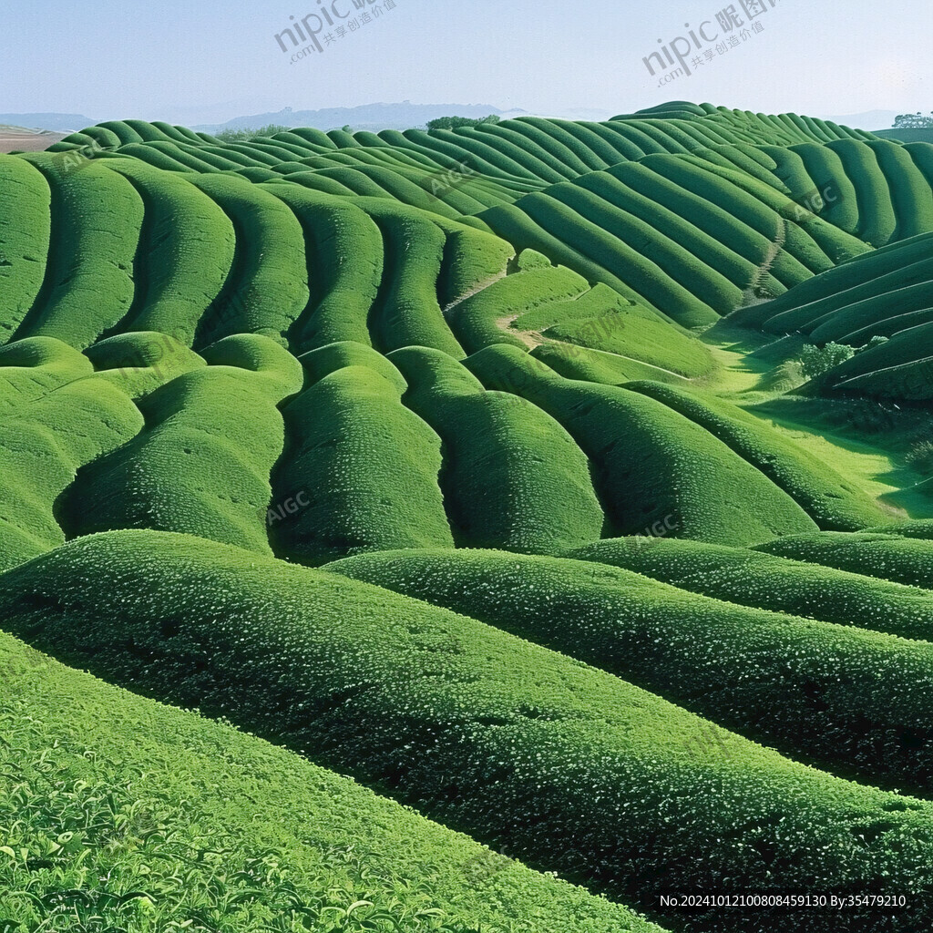 茶田豎構圖