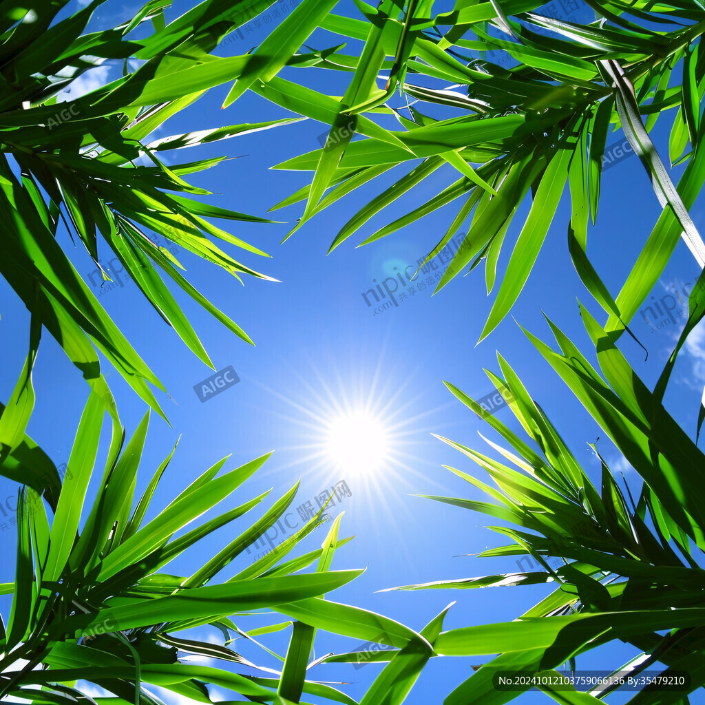 光線素材藍天綠葉
