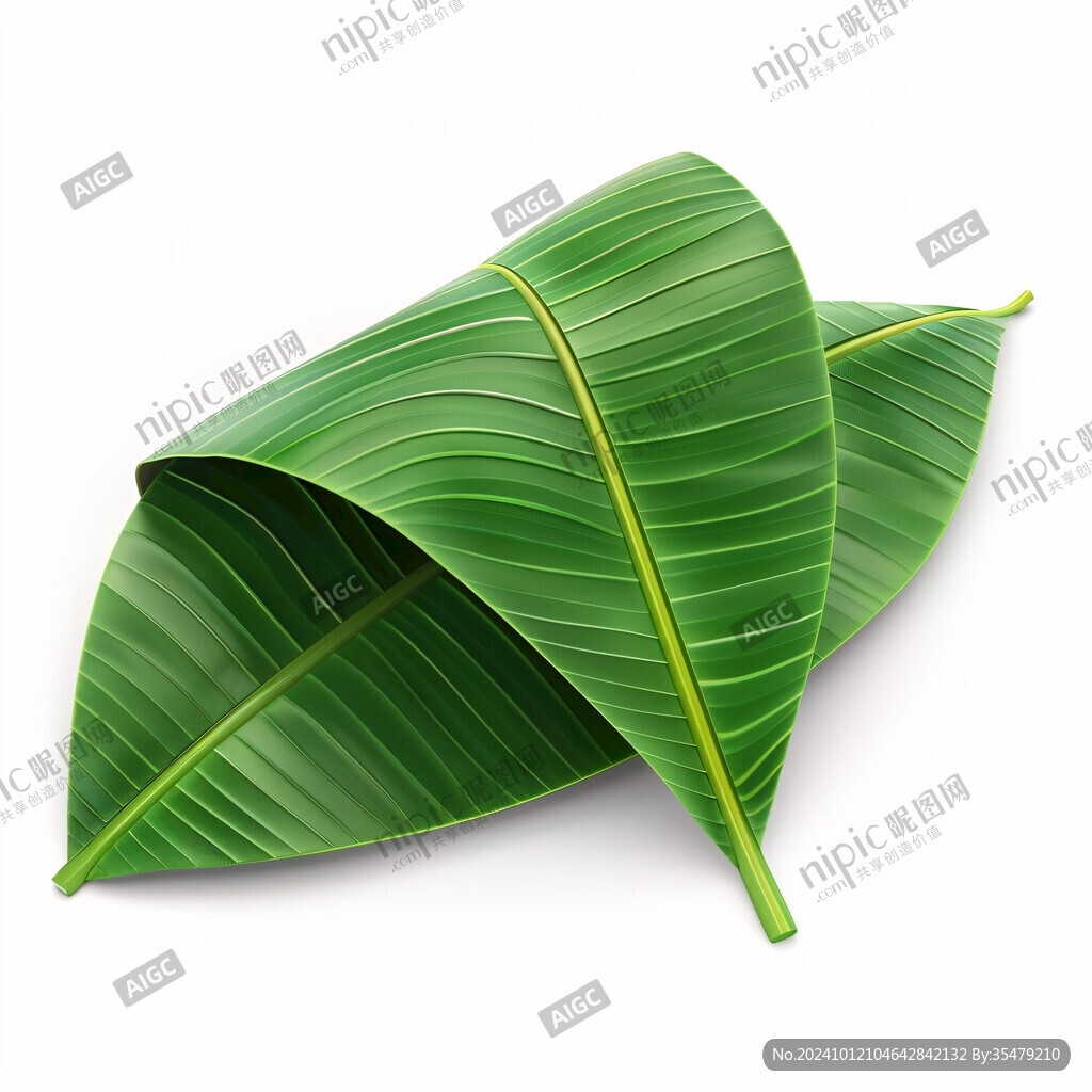 芭蕉葉素材