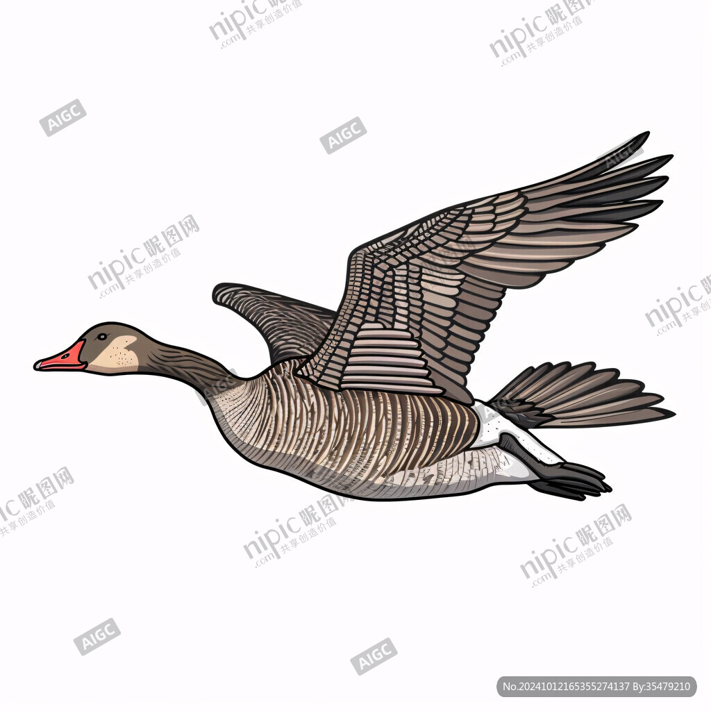 手繪獅頭鵝獅頭鵝插圖