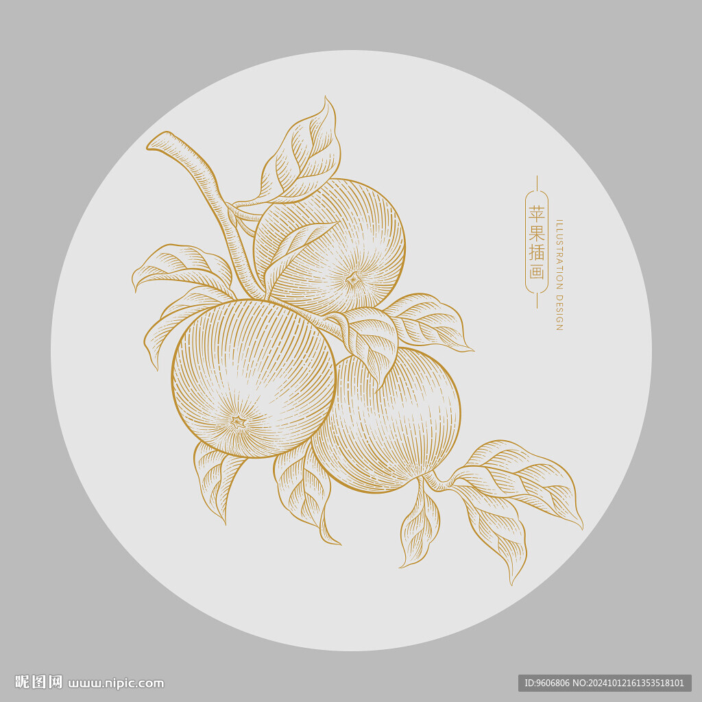 蘋果插圖