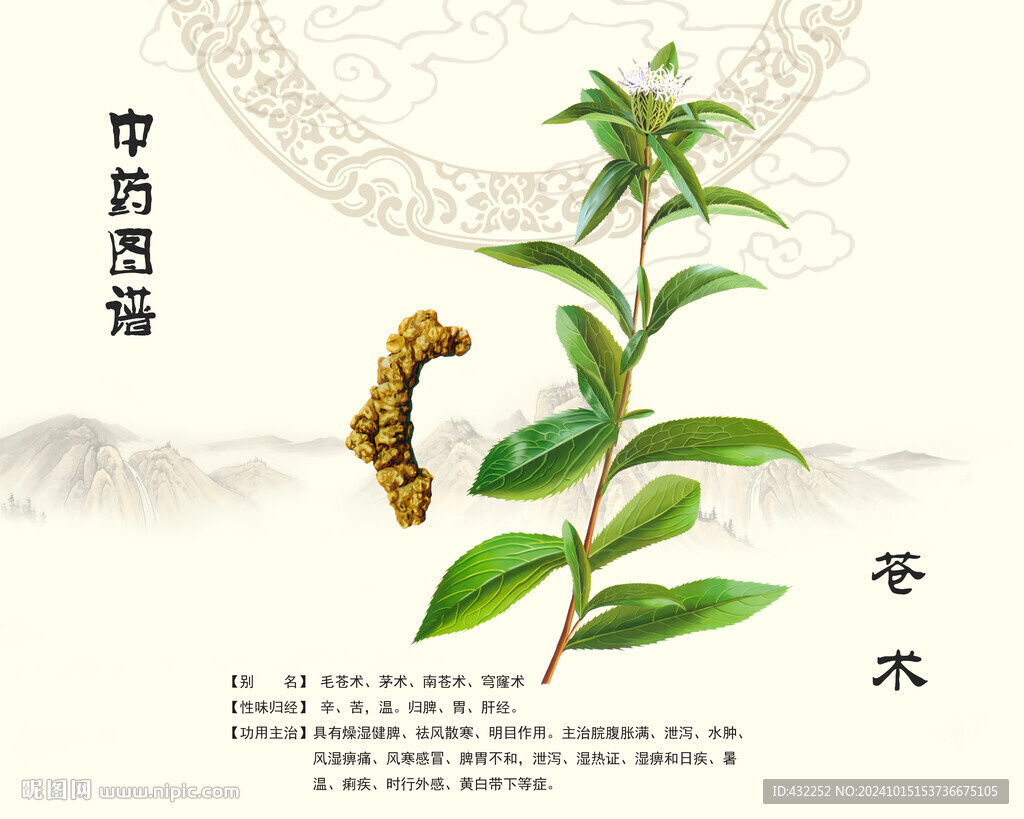 蒼術毛蒼術