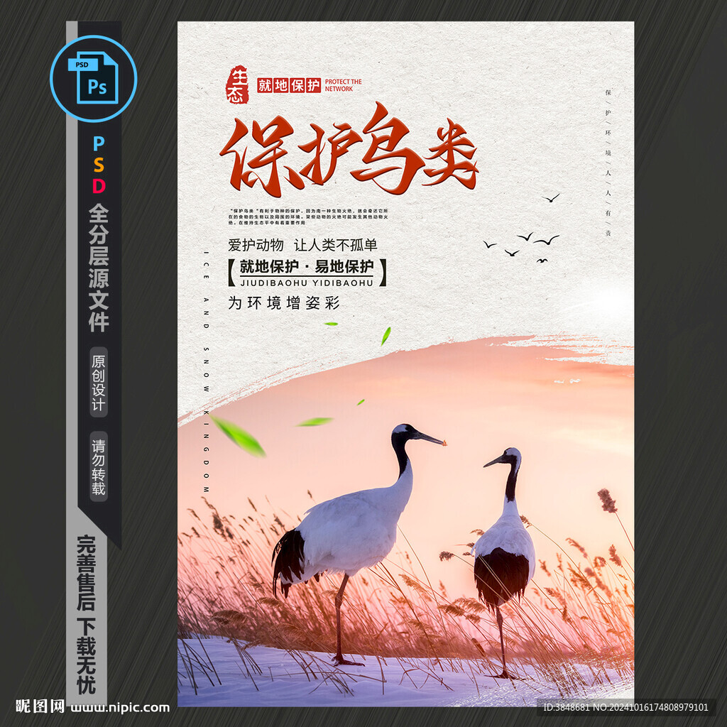 保護鳥類公益海報