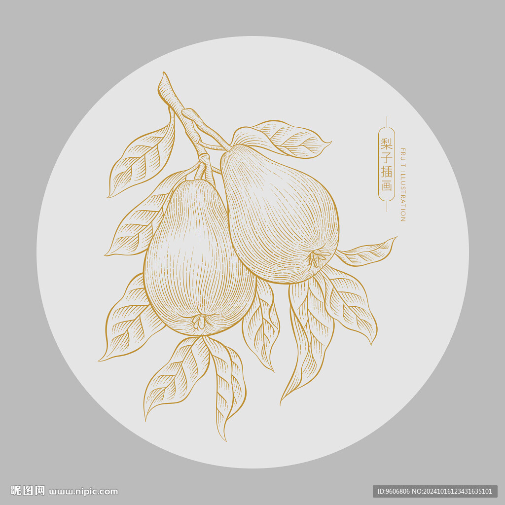 梨插畫