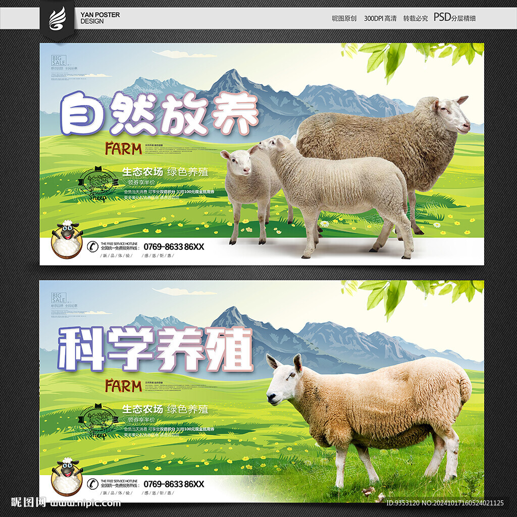 草原羊