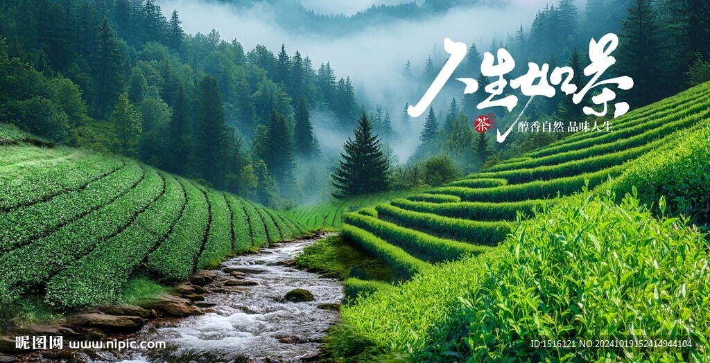 茶山