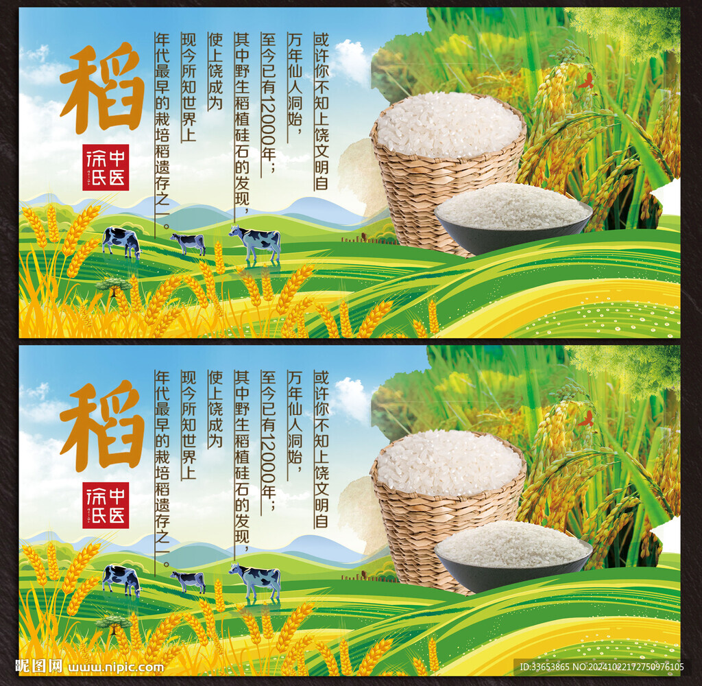水稻展板