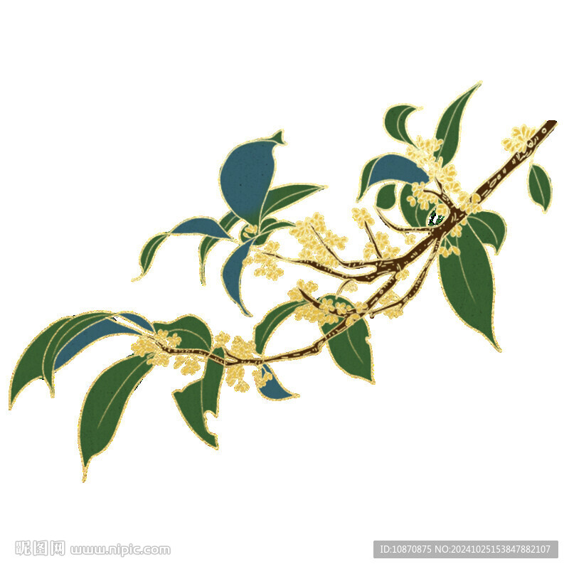國風桂花透明底