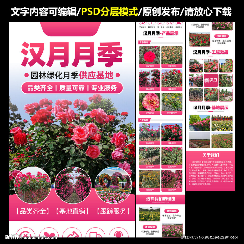 花卉苗木詳情頁模板圖片