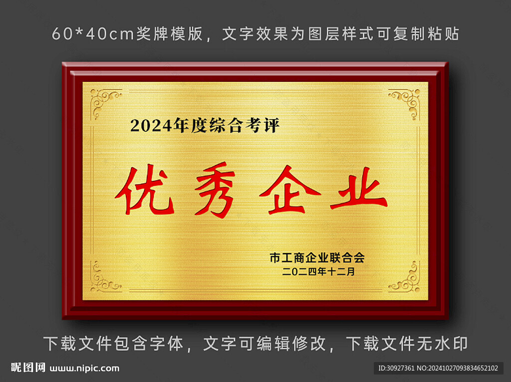 優(yōu)秀企業(yè) 獎牌