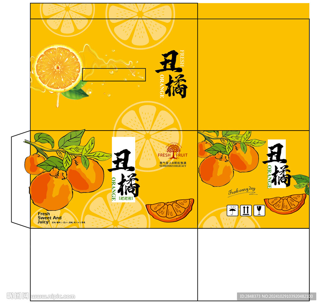 手繪丑橘平面展開圖