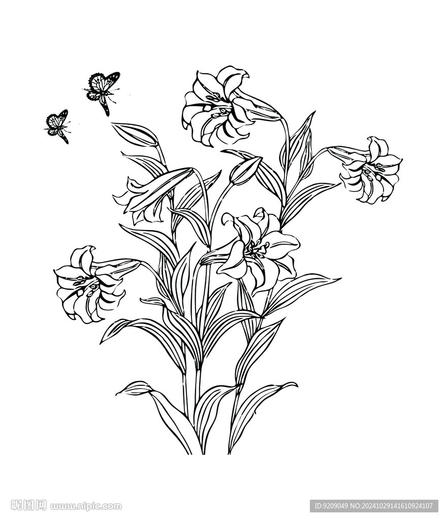 百合花素材