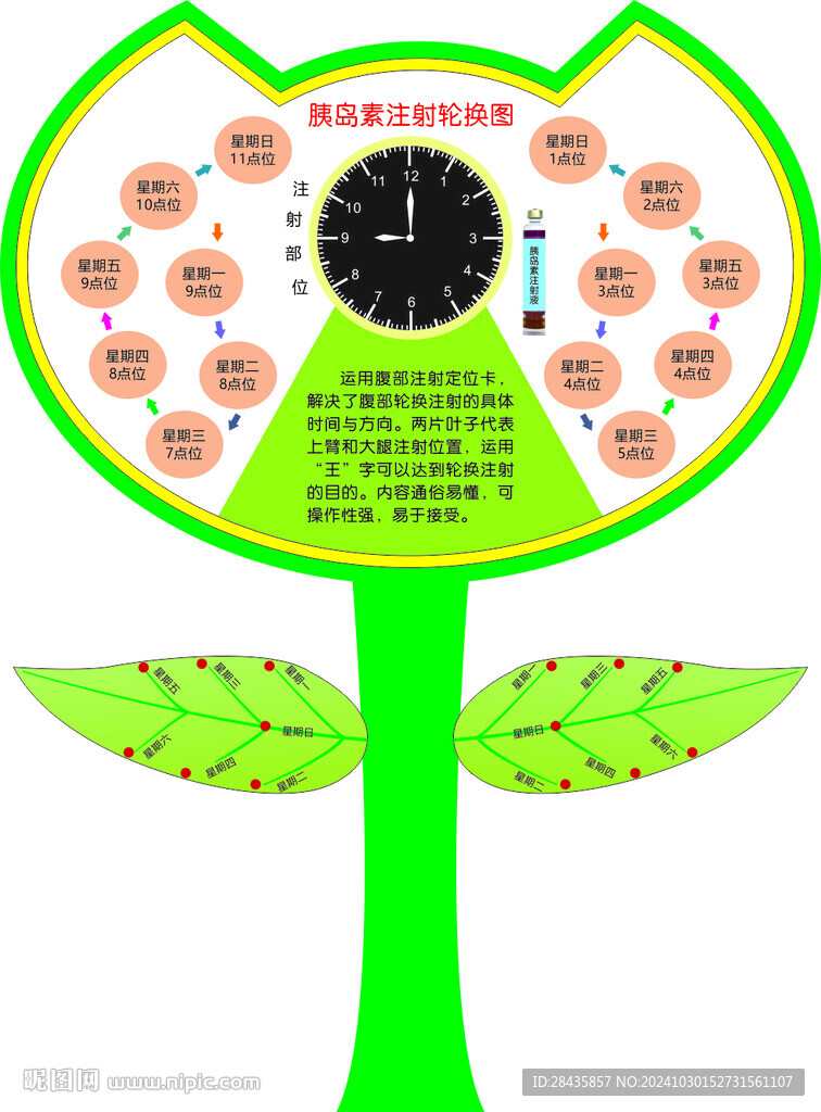 胰島素注射輪換圖
