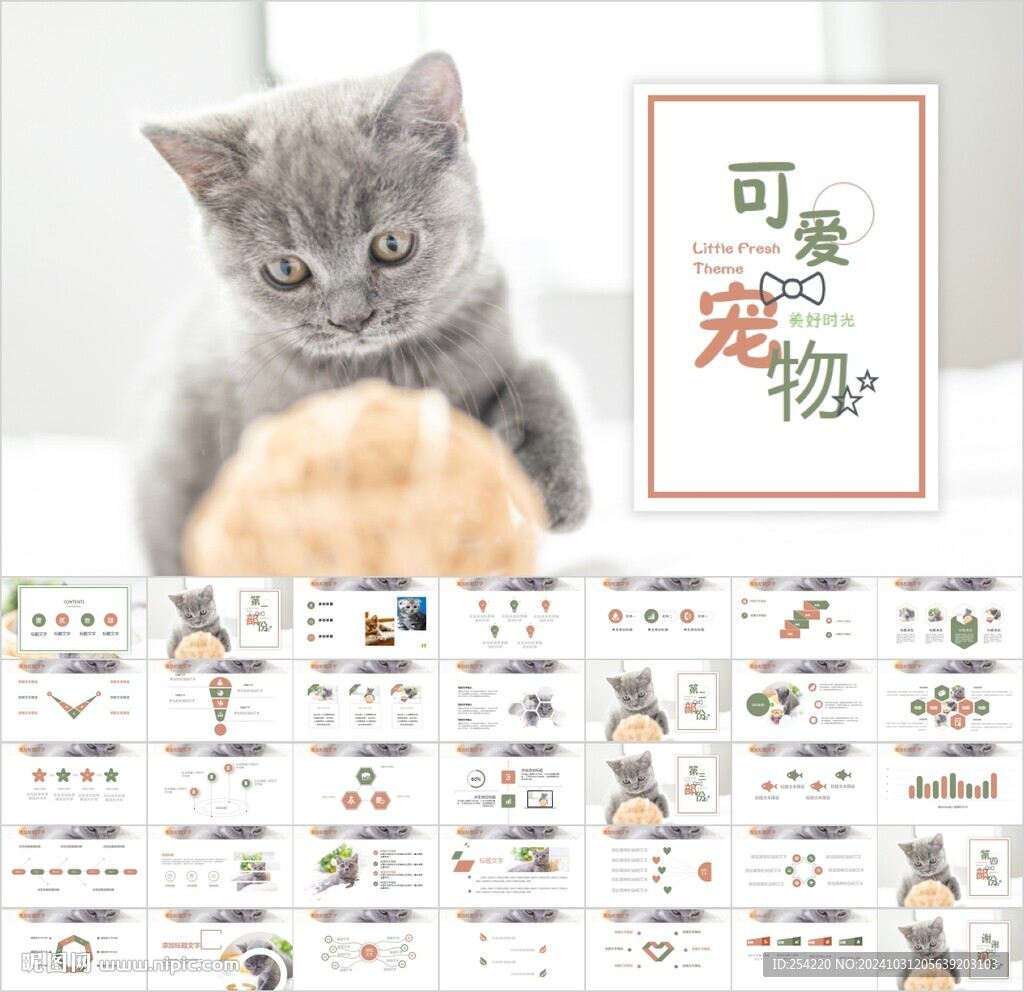 萌寵貓咪寵物醫(yī)院美容ppt