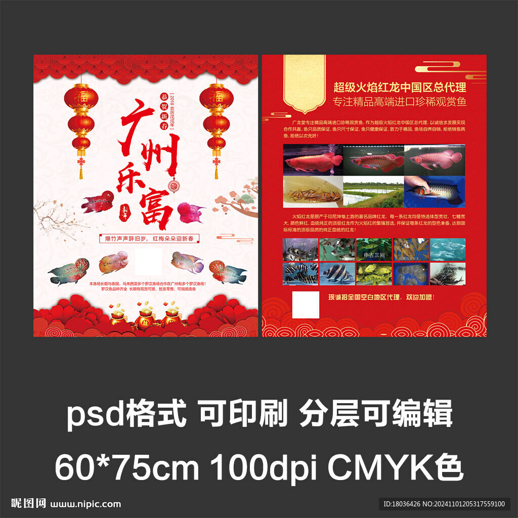 紅色喜慶春節海報展板宣傳單頁