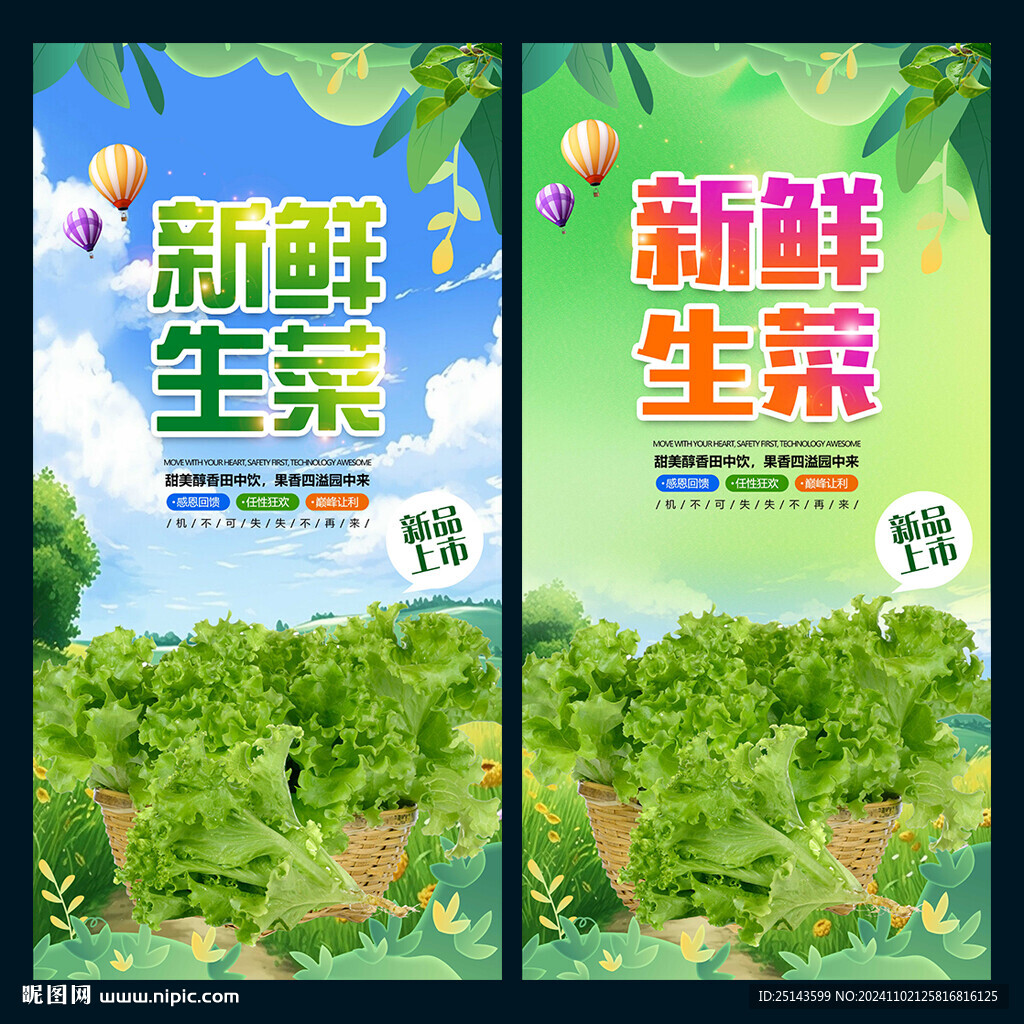 生菜