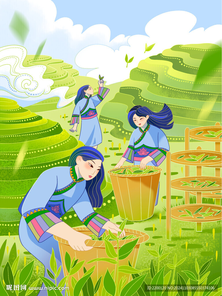 春茶季采茶制茶完整場景插畫茶女